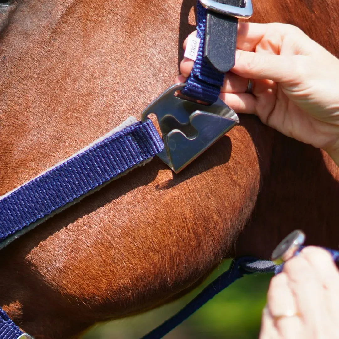  Fleece Noseband and Leather Breakaway