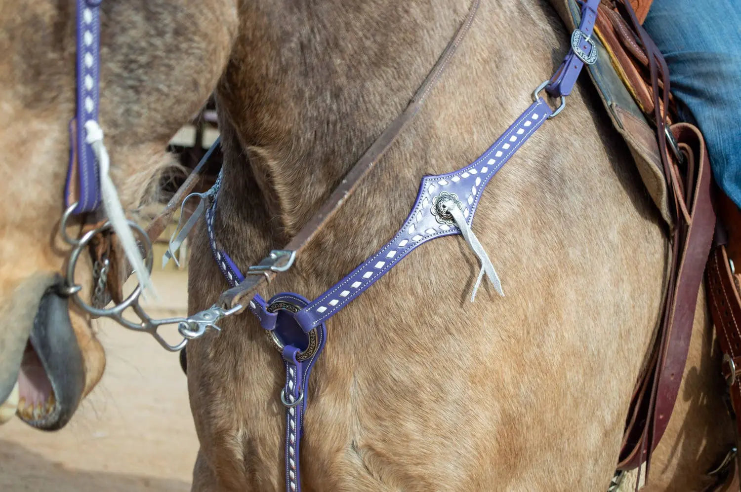 Purple Tack Set