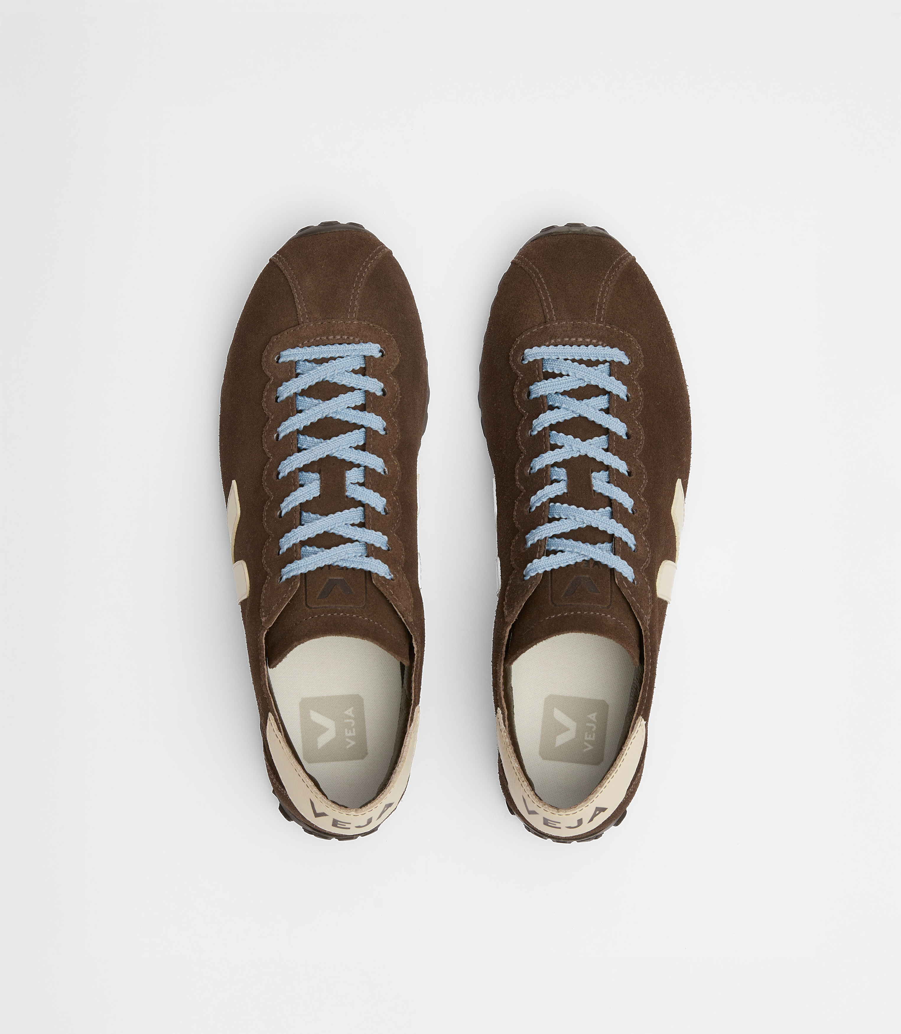 CATEYES SUEDE EAGLE CASHEW