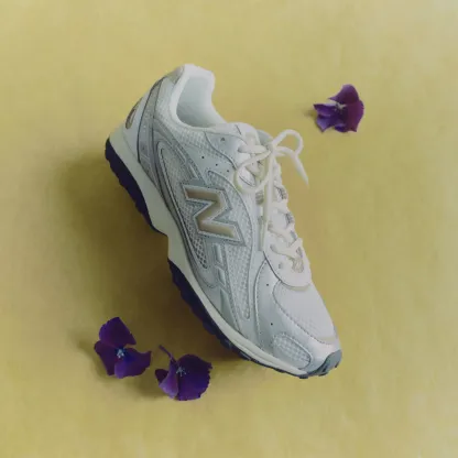 204L – SILVER METALLIC with FLAT TAUPE