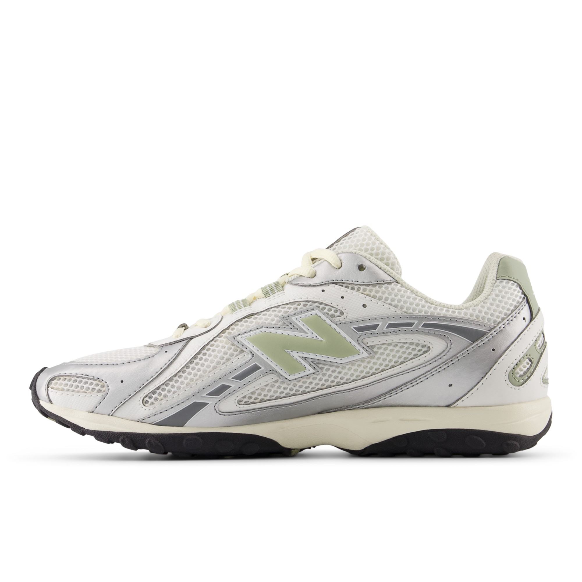 204L – SILVER METALLIC with GARTER SNAKE