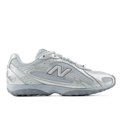 204L – LIGHT ZINC BLUE with LIGHT SILVER METALLIC and SILVER METALLIC