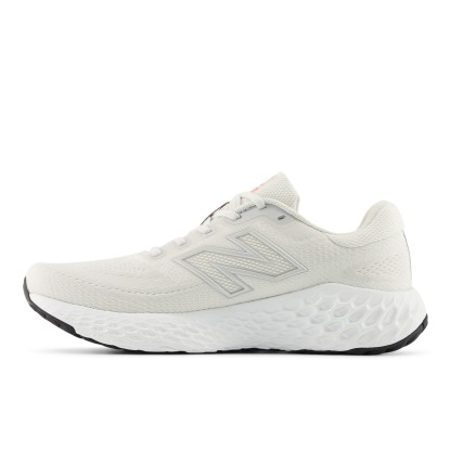 Fresh Foam X EVOZ v4 – Reflection with White and Earth Shadow