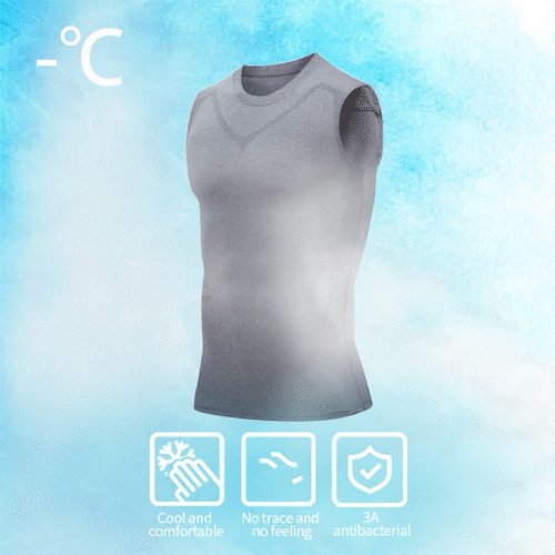 2026 New Version Close-Fitting Sleeveless Shirt🔥6PCS $25.99 