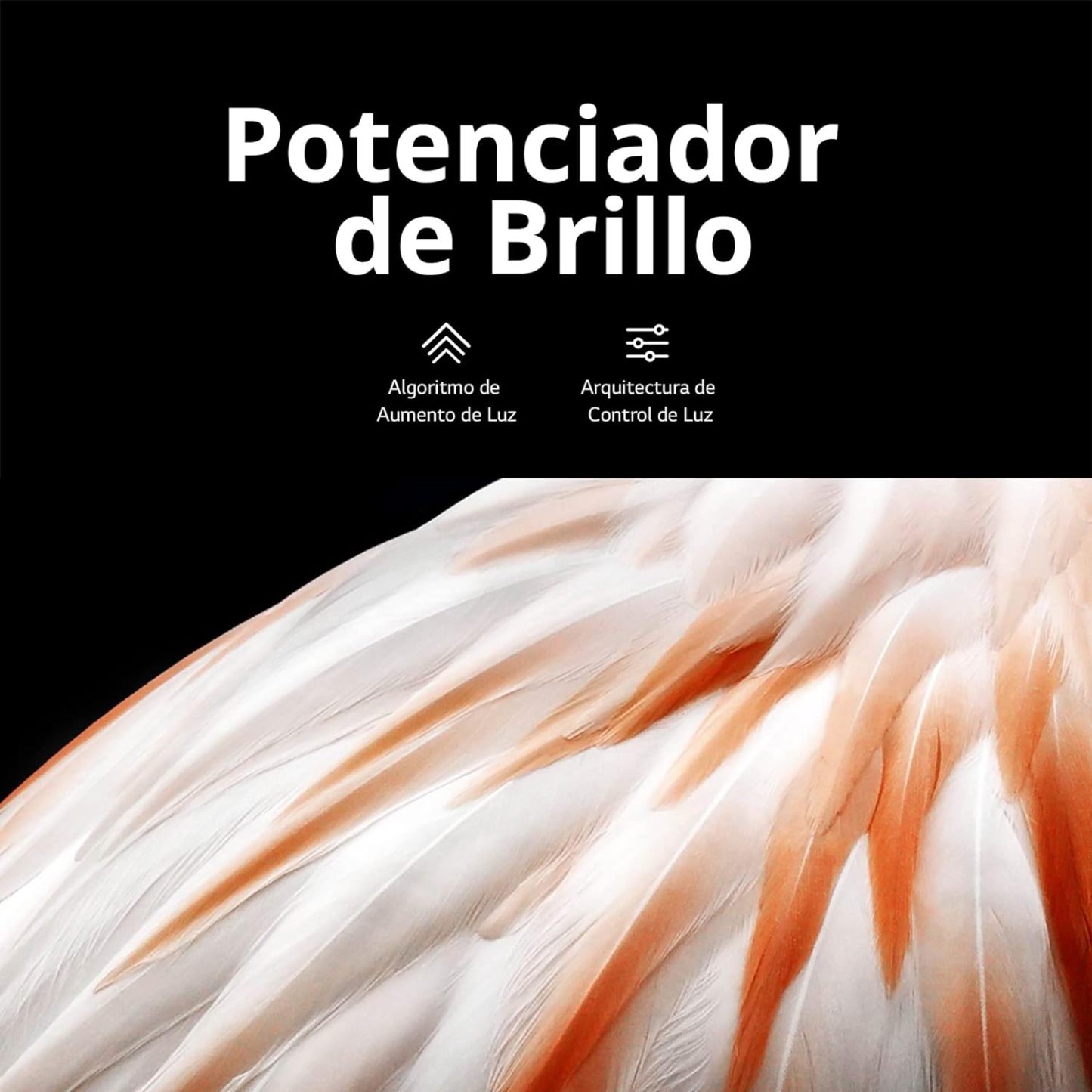 LG Pantalla OLED EVO 55 Pulgadas 4K Smart TV 2024 ThinQ AI OLED55C4PSA