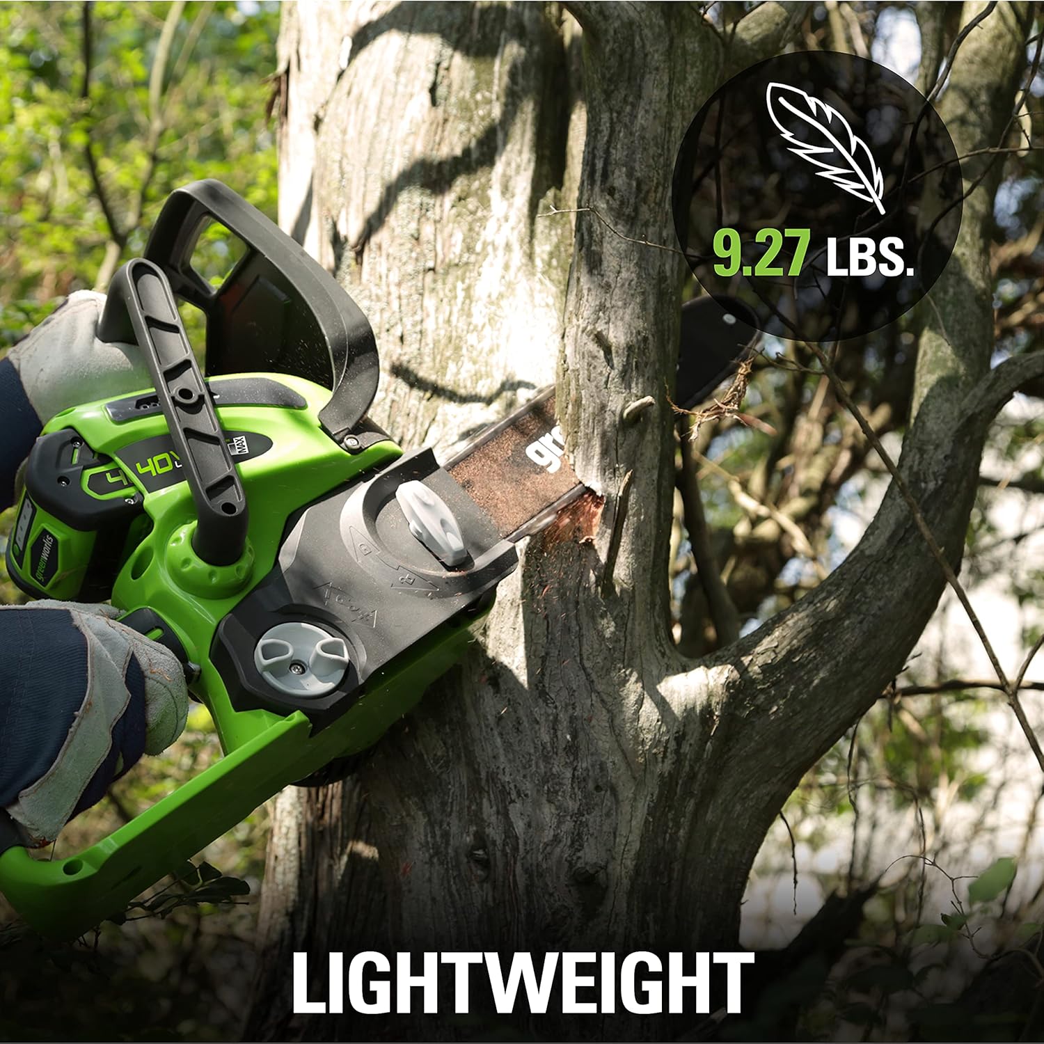 GreenWorks 20262 G-MAX 40V 12-Inch Cordless Chainsaw, 2AH Battery and a Charger Included