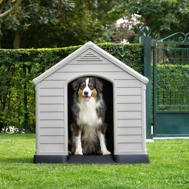 Casa para Perro Member's Mark 100% Plástico