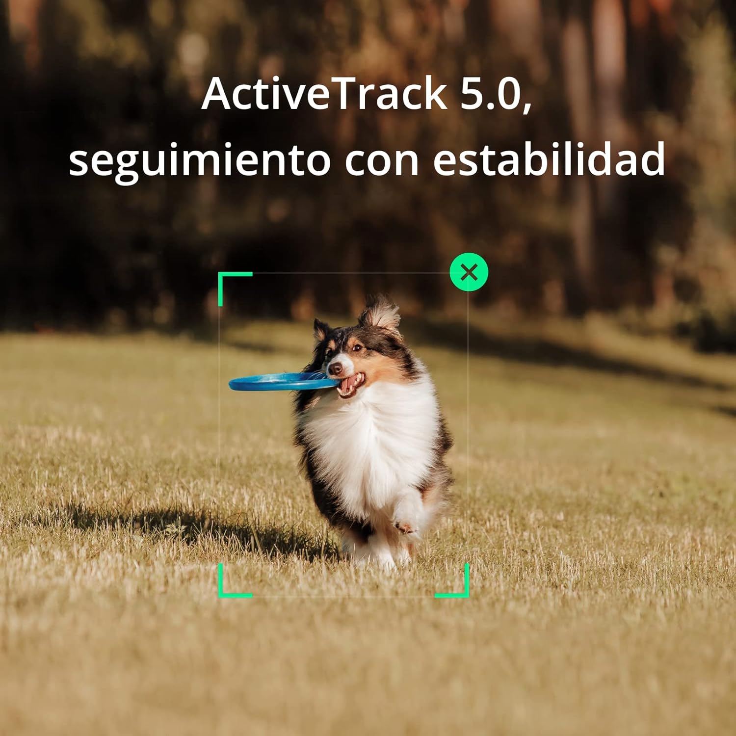 Dji Ronin-SC - Estabilizador de cámara, cardán de Mano de 3 Ejes para cámaras DSLR y sin Espejo, Carga útil de hasta 4.5 Libras, diseño Ligero, filmación cinemática, Color Negro