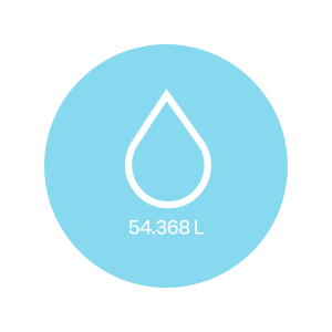 lorem ipsum
