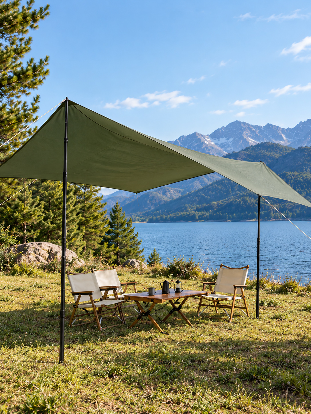 carbon fiber tarp poles
