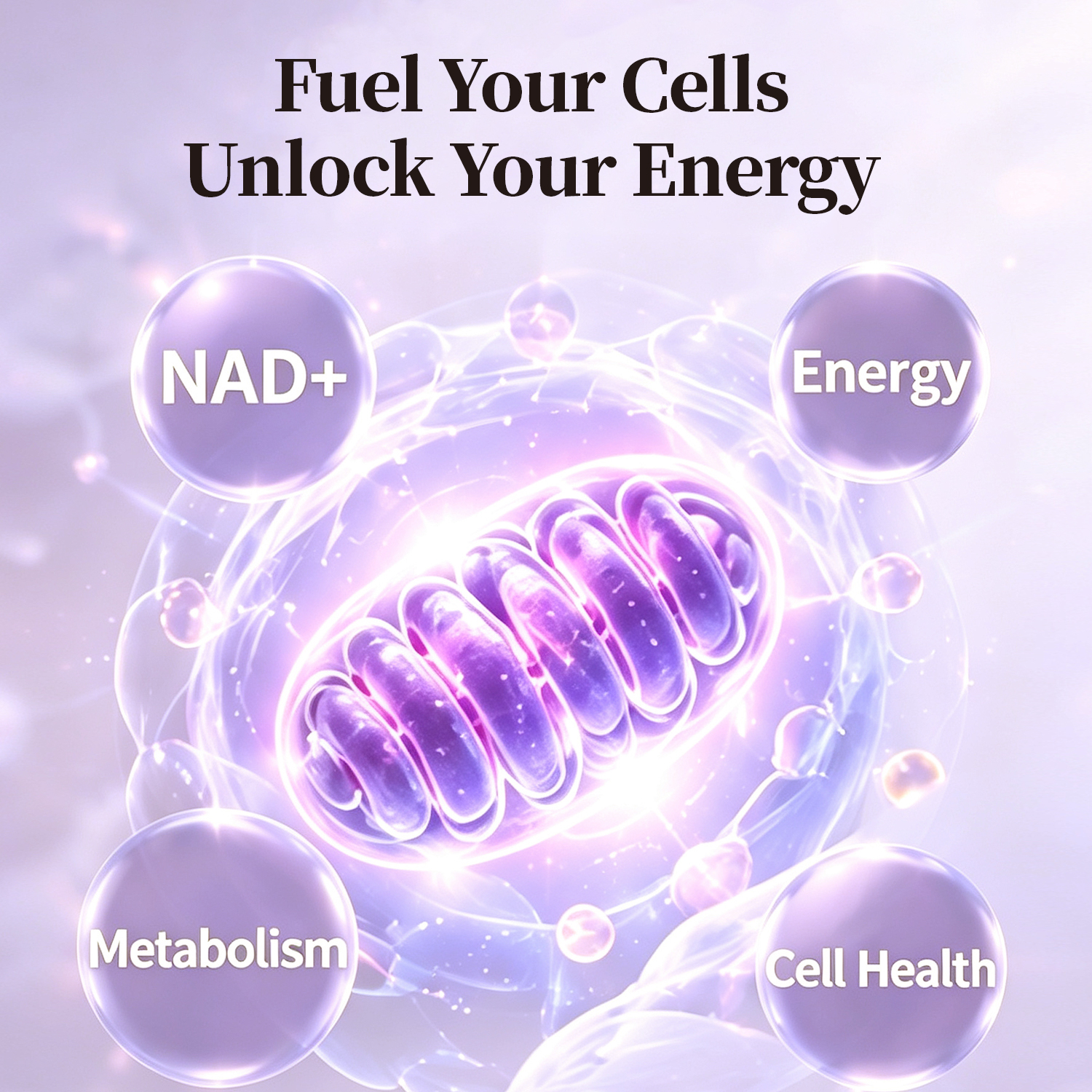 DAYVRA Cellular Glow | NMN & Resveratrol – 60 Capsules