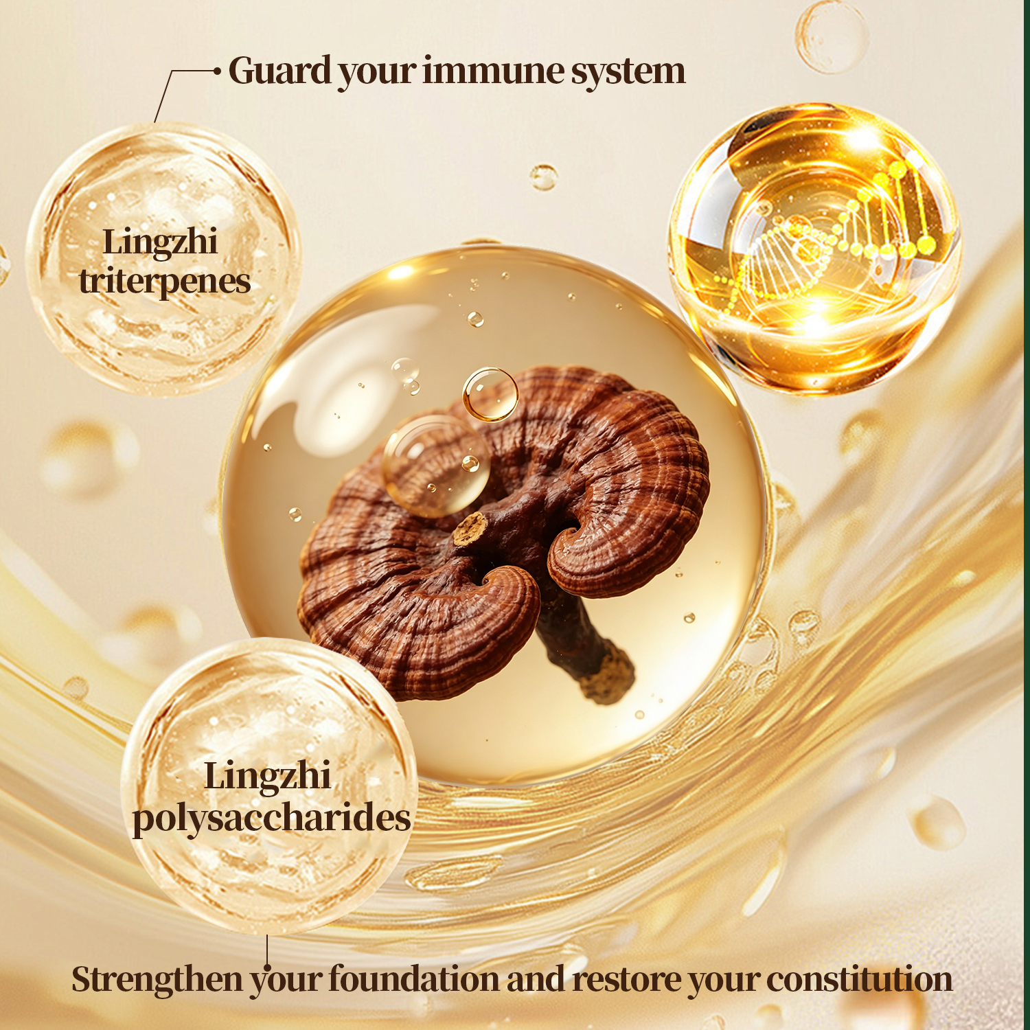 DAYVRA Immune Harmony | Reishi Mushroom Wellness – 60 Capsules