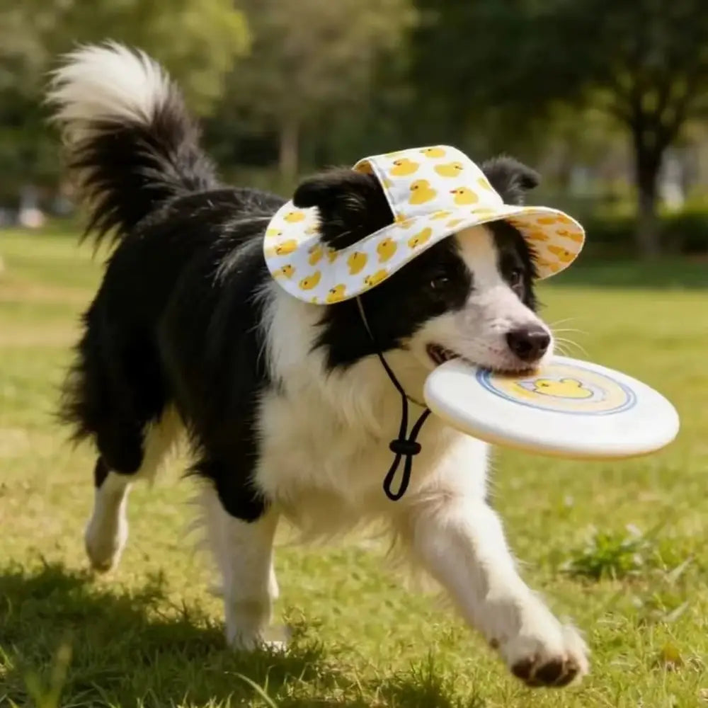 Paw Shade-blumpark