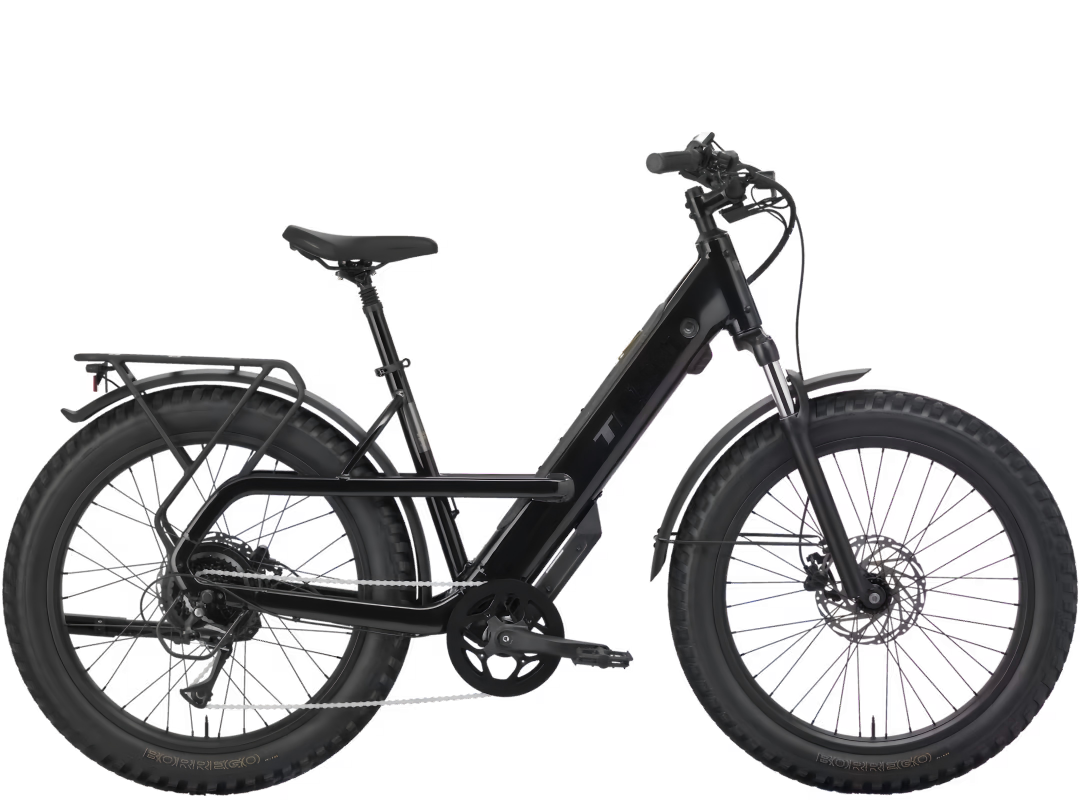 NUTT hydraulic disc brake system for an e-bike or mountain bike