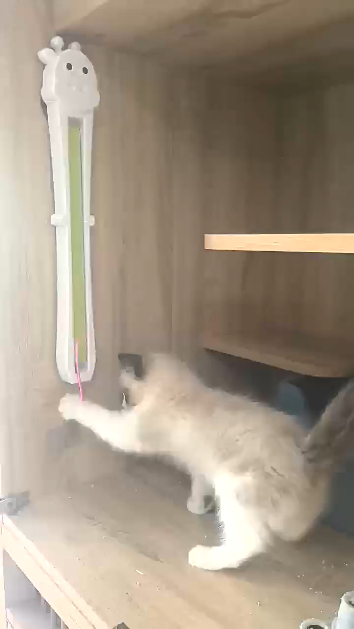 Automatic Cat Teaser - Hands-Free Rotating Wand Toy