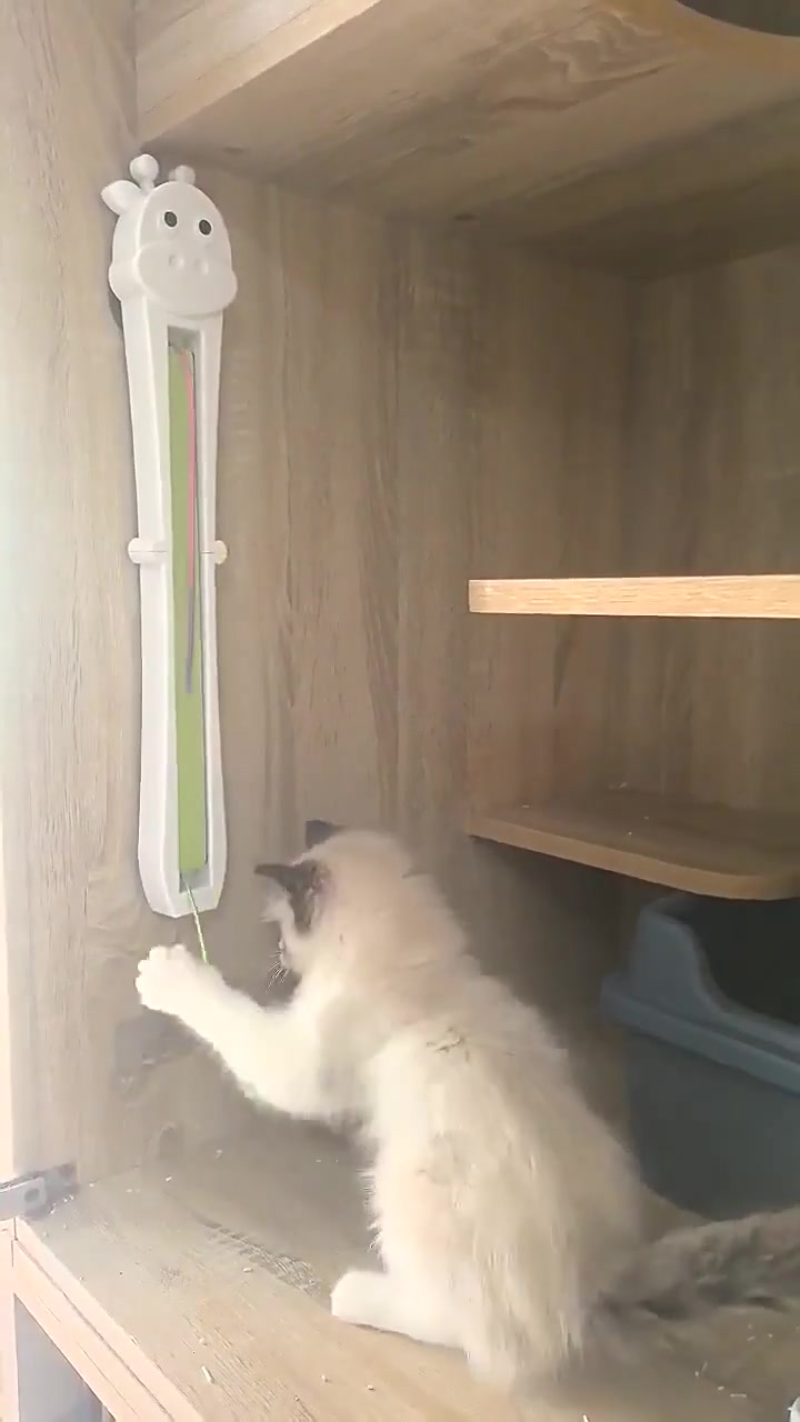 Automatic Cat Teaser - Hands-Free Rotating Wand Toy