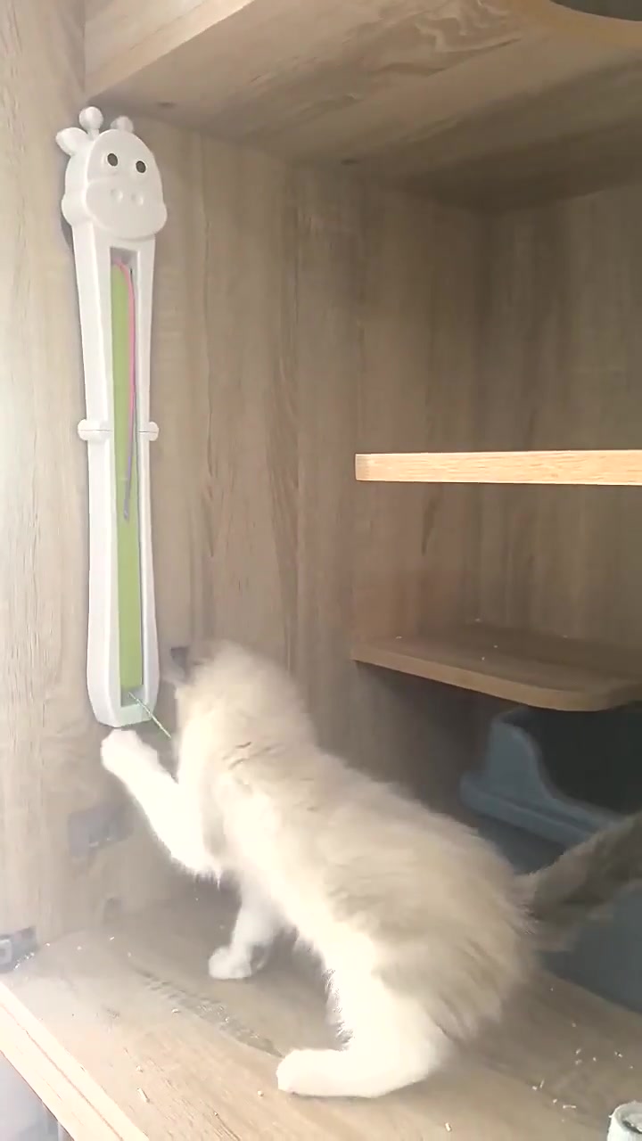Automatic Cat Teaser - Hands-Free Rotating Wand Toy