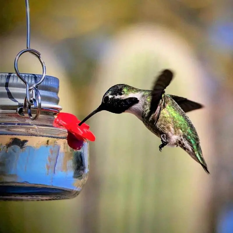Durable ABS hummingbird feeder hanging in a garden setting
