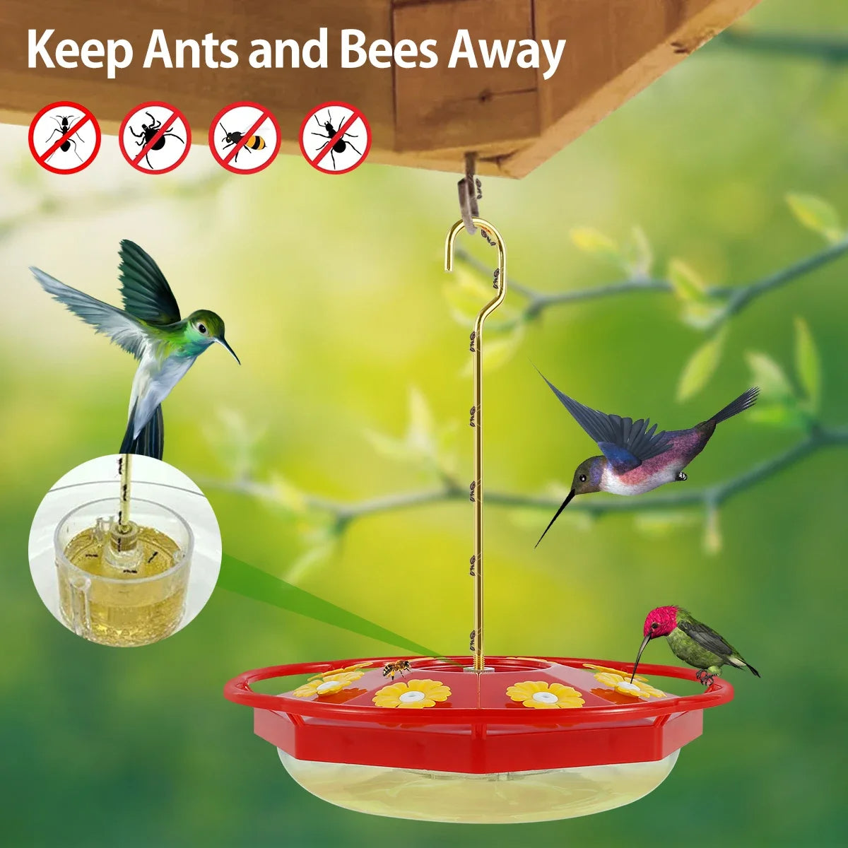 Colorful hummingbird feeder with flower-shaped ports and transparent base