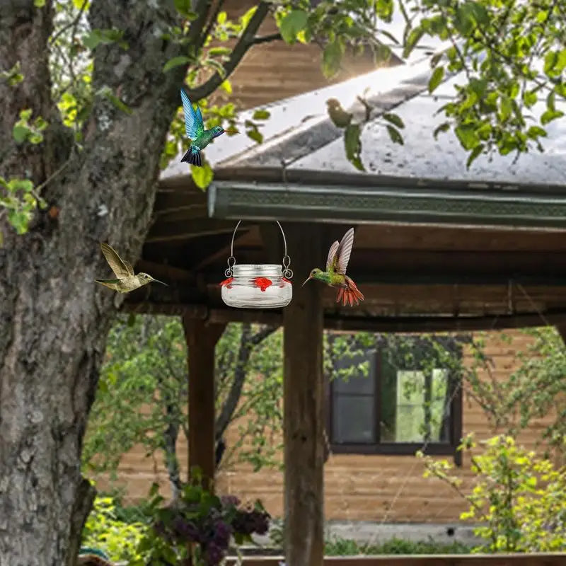 Hummingbird drinking from hanging feeder in a vibrant garden