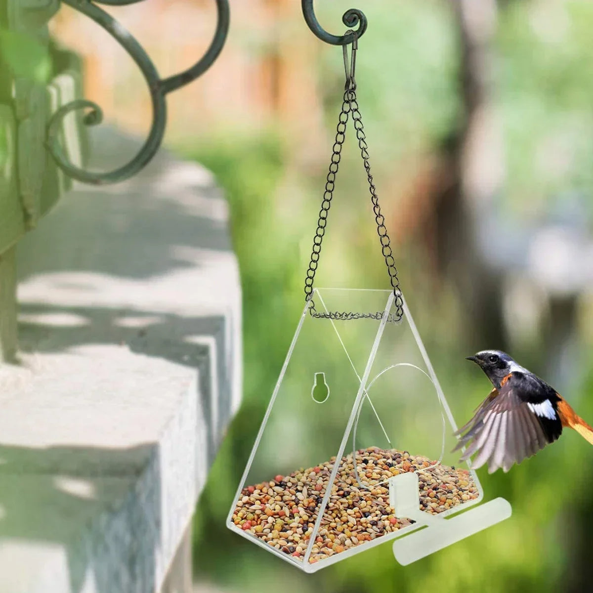 Clear acrylic hanging bird feeder with suction cup attachment for outdoor viewing