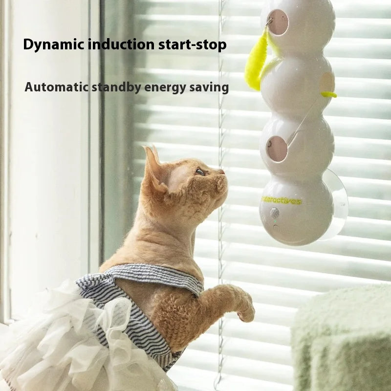 Interactive worm pole cat toy with automatic pop-up feature