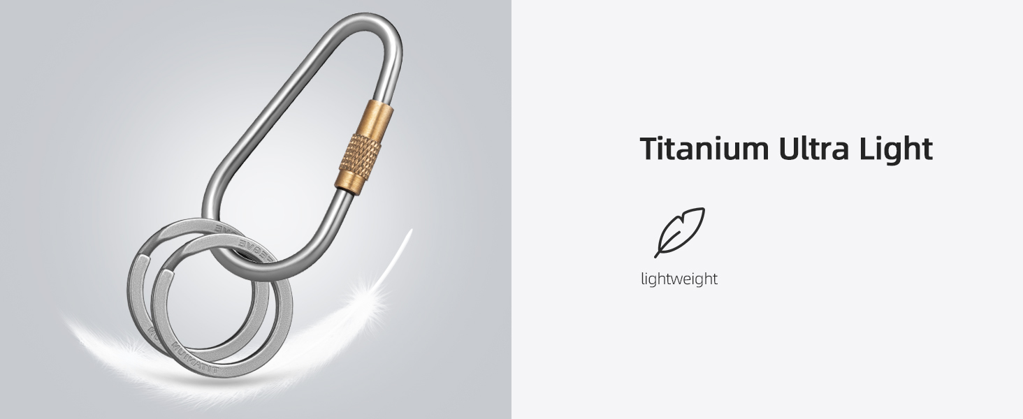 d ring carabiner
