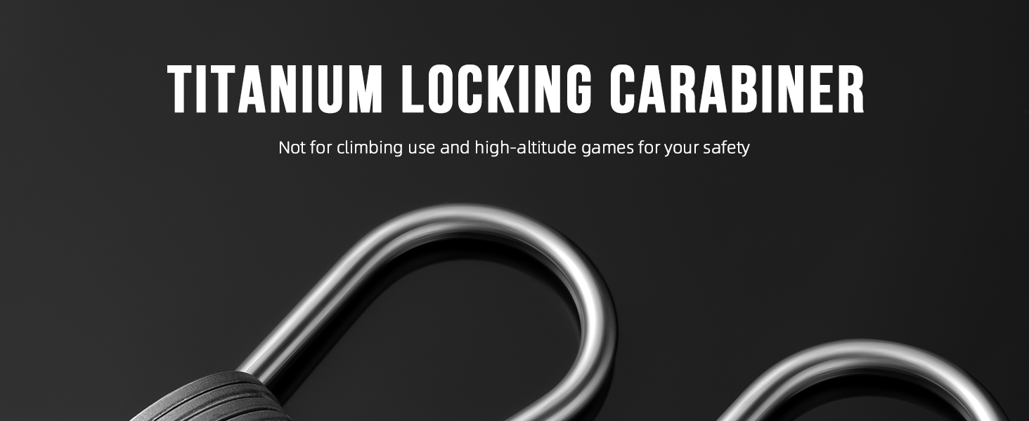 small locking carabiner