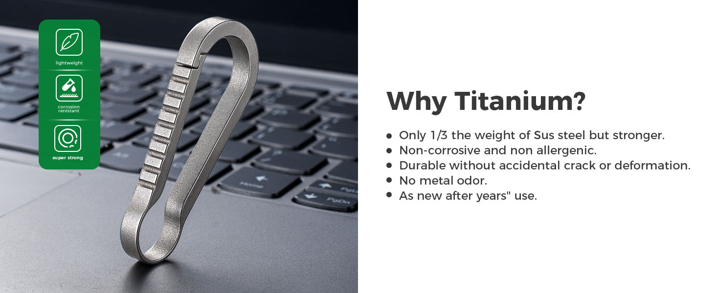 key carabiner clip