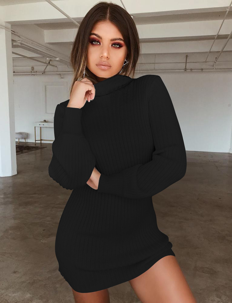 Women's Turtleneck Slim Fit Long Sleeve Knit Dress