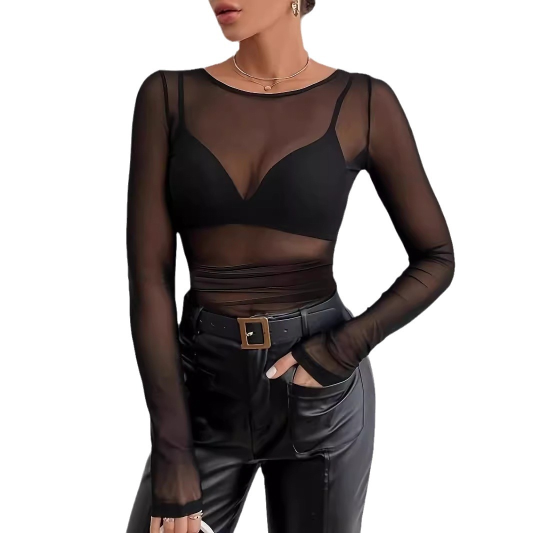 Sheer Mesh Short Slim Fit Long Sleeve Crew Neck Top