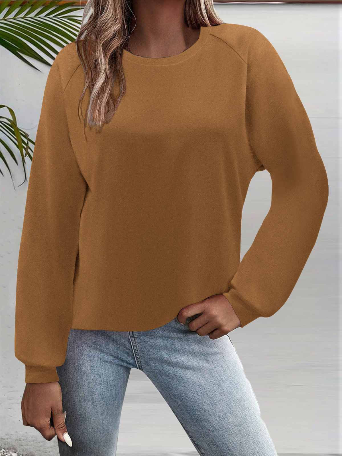 Women's Long Sleeve Crewneck T-Shirt Solid Color Loose Fit Top