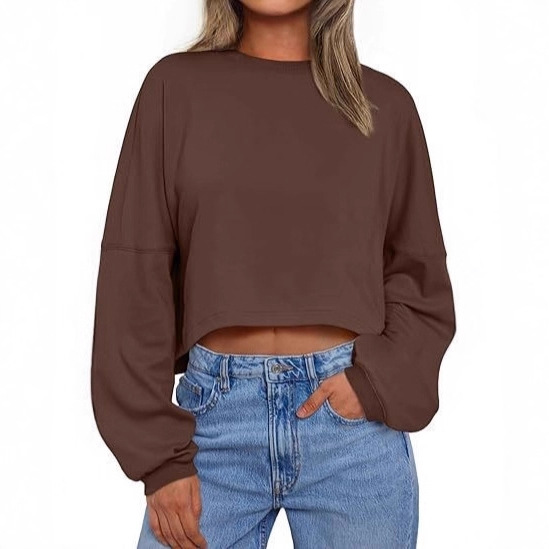 Women's Urban Style Polyester Long Sleeve Crewneck Loose Fit T-Shirt