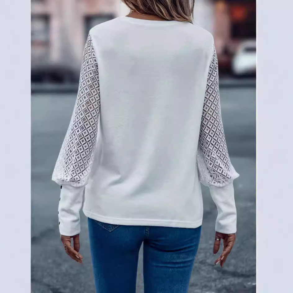 Women's Solid Color Lace Crewneck Long-Sleeve Pullover Top
