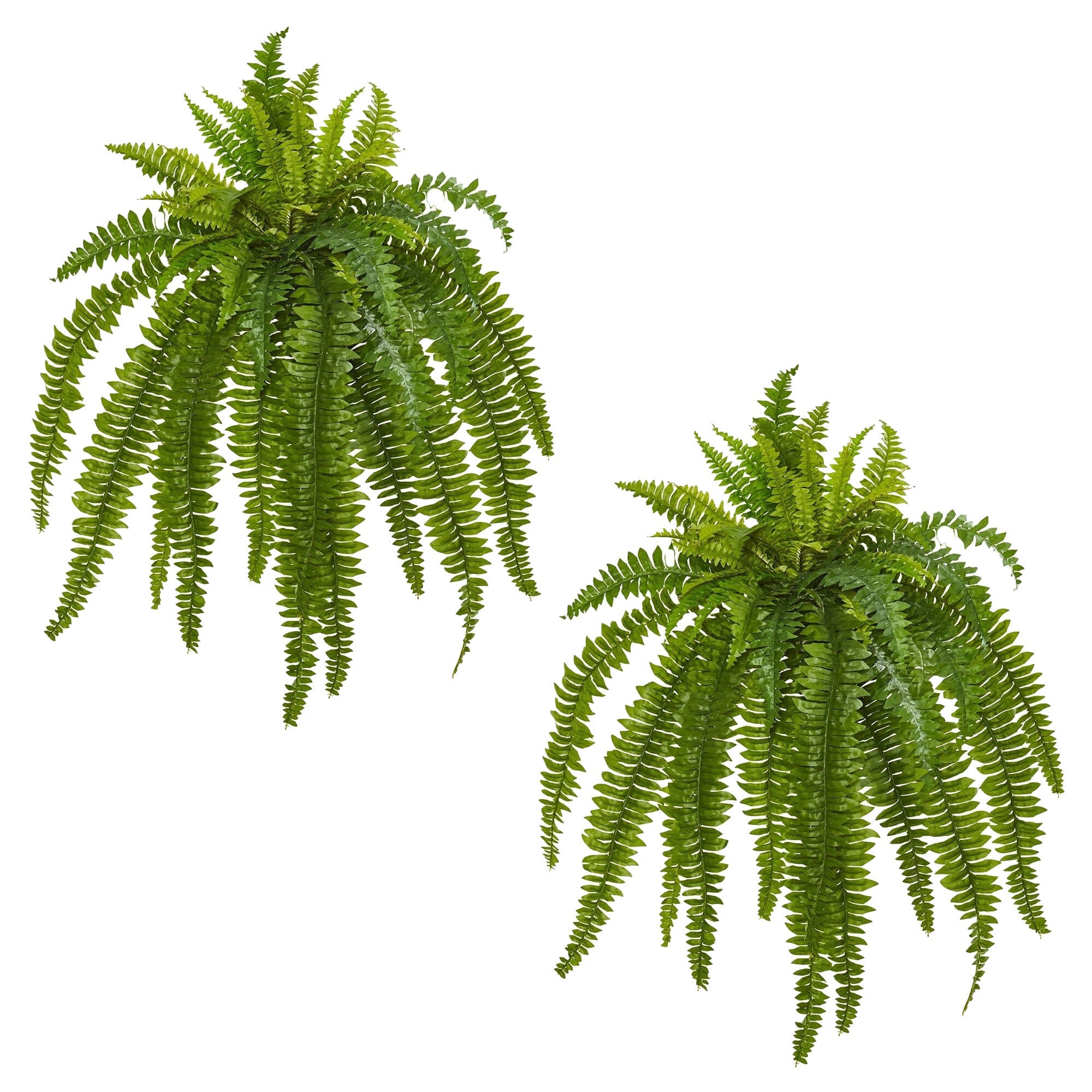 35” Boston Fern Artificial Plant (Set of 2)