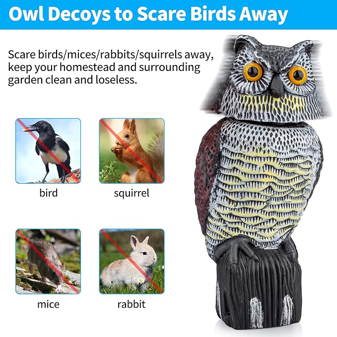 Owl Decoys to Scare Birds Squirrels Away | Hand-painted art