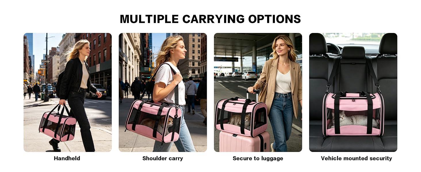 Pet Carrier for Pets up to 15 Lbs