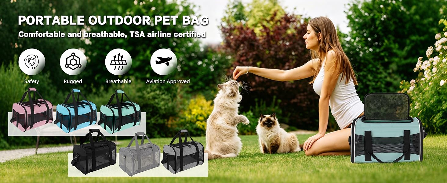 Pet Carrier for Pets up to 15 Lbs