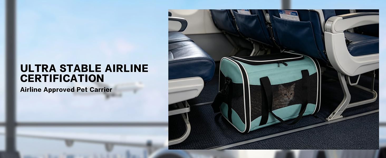 Pet Carrier for Pets up to 15 Lbs