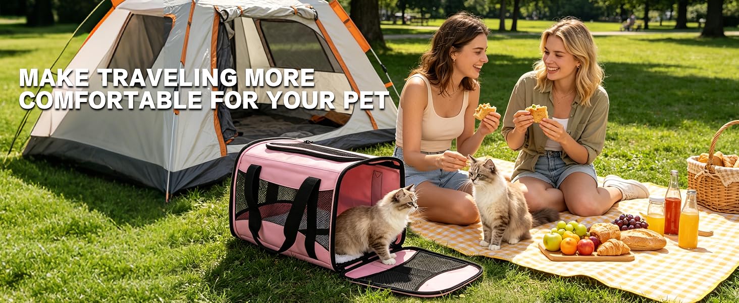 Pet Carrier for Pets up to 15 Lbs
