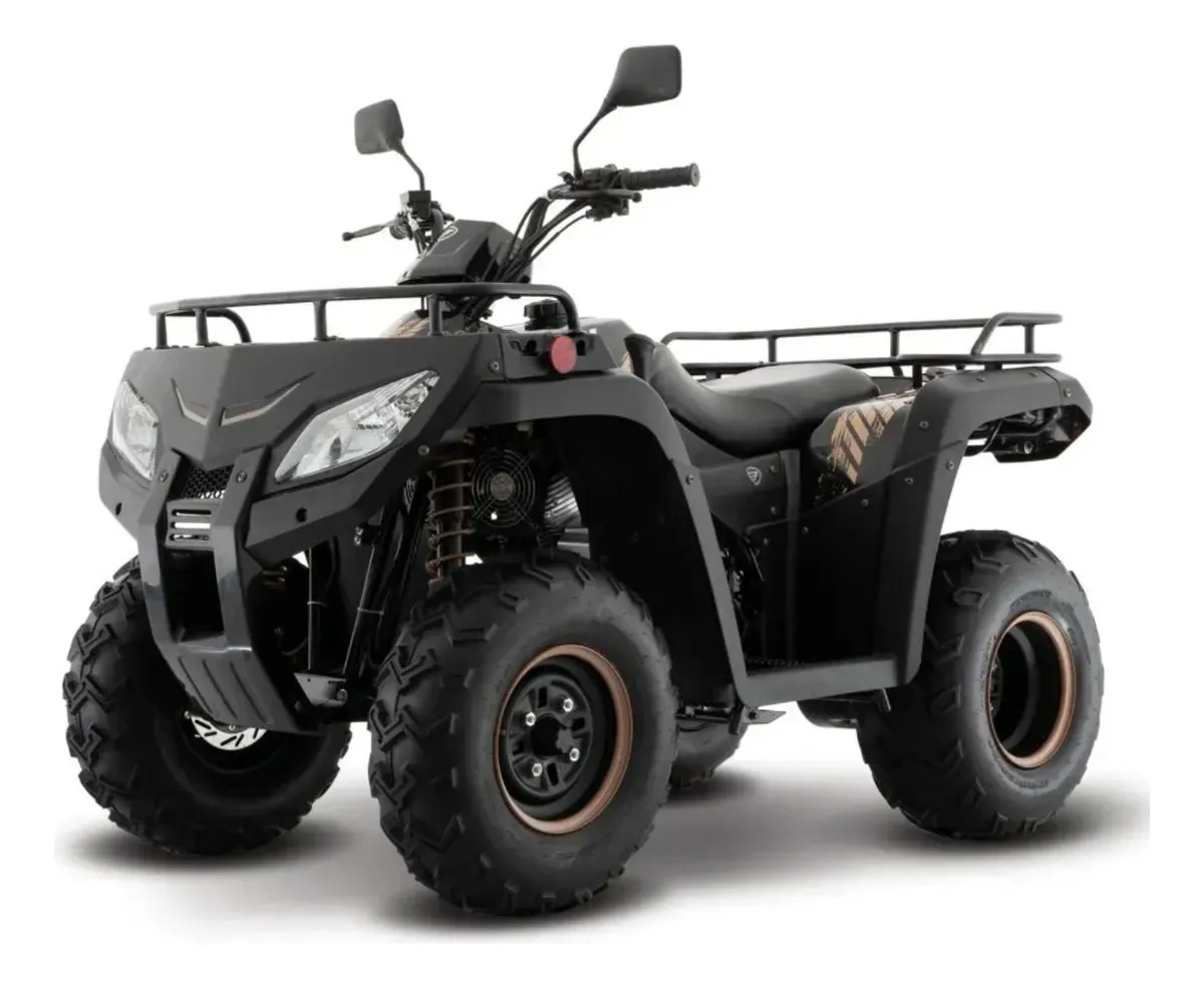 Cuatrimoto Italika Atv250 Negro