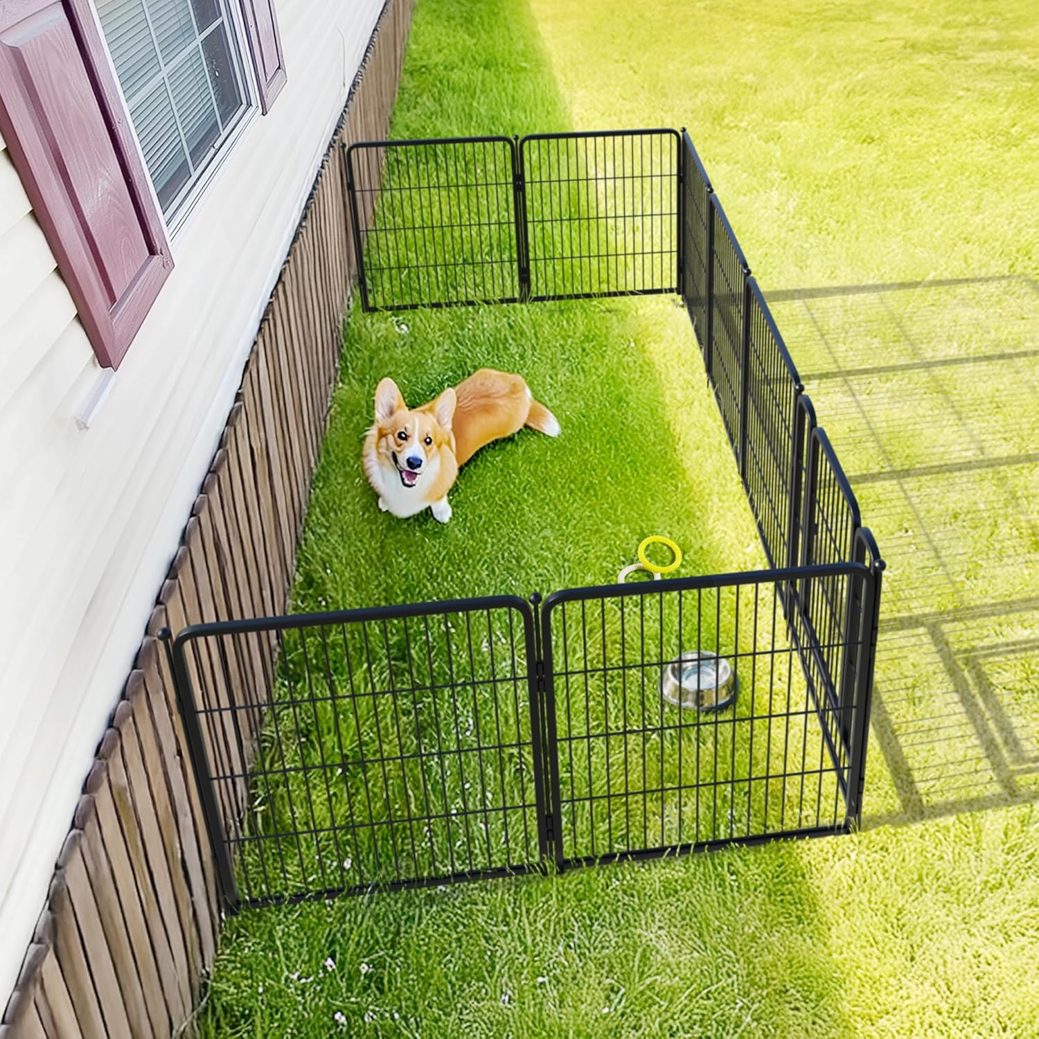 FXW Rollick Corral para Perros para Patio, RV Camping│Patentado, 24 Pulgadas 8 Paneles