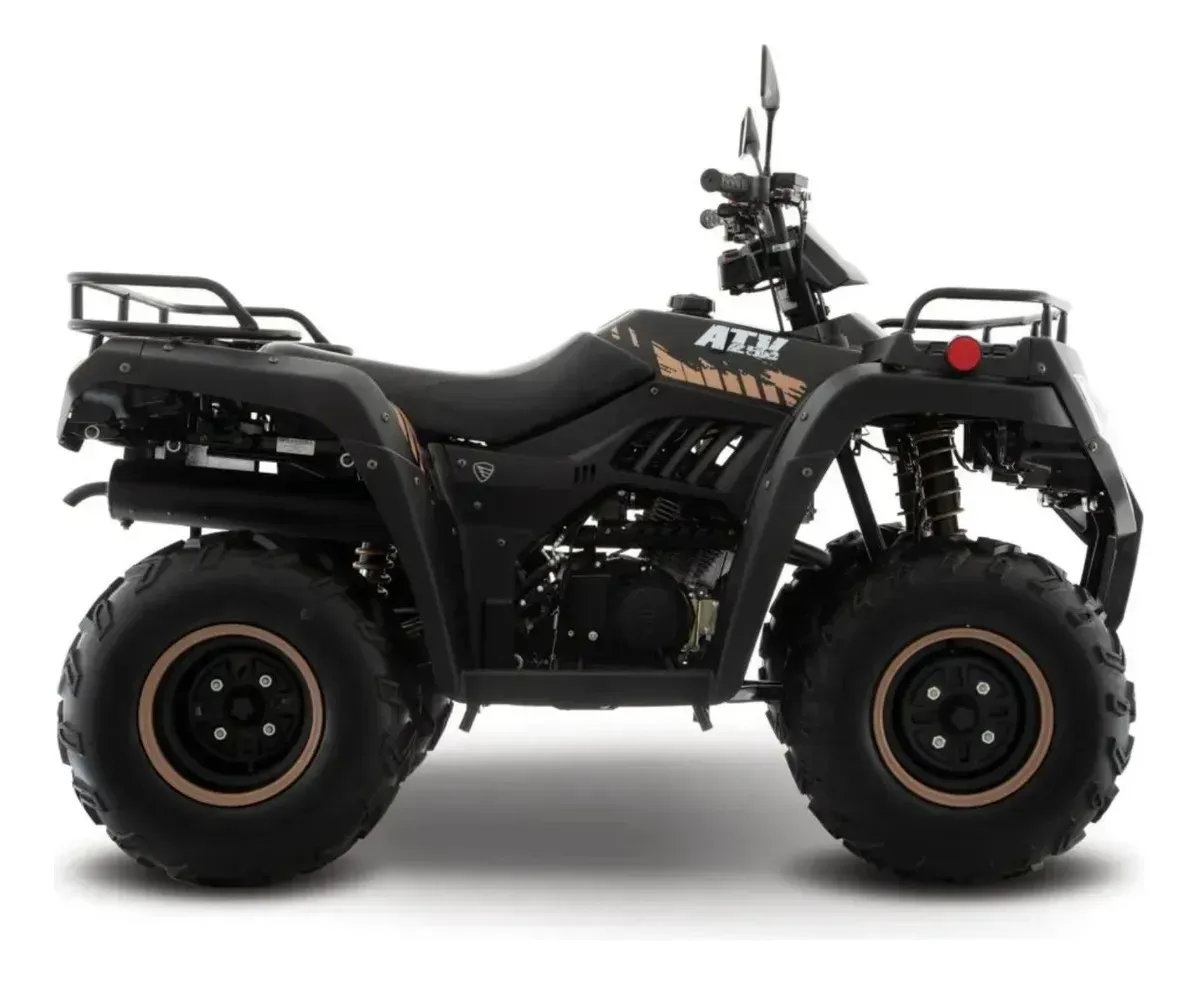 Cuatrimoto Italika Atv250 Negro