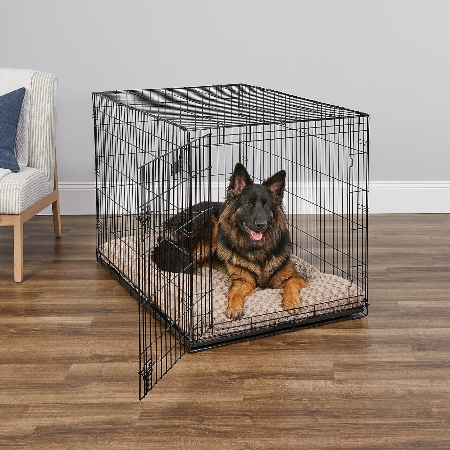 MidWest Homes for Pets - Jaula para perros XL | Jaula para perros MidWest iCrate de metal plegable con doble puerta con panel divisor, protege los pies y bandeja para perros a prueba de fugas | 48 pulgadas de largo x 30 de ancho x 33 pulgadas de alto, raz
