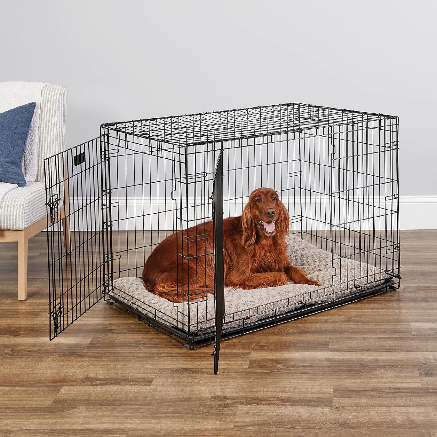 MidWest Homes for Pets - Jaula para perros XL | Jaula para perros MidWest iCrate de metal plegable con doble puerta con panel divisor, protege los pies y bandeja para perros a prueba de fugas | 48 pulgadas de largo x 30 de ancho x 33 pulgadas de alto, raz