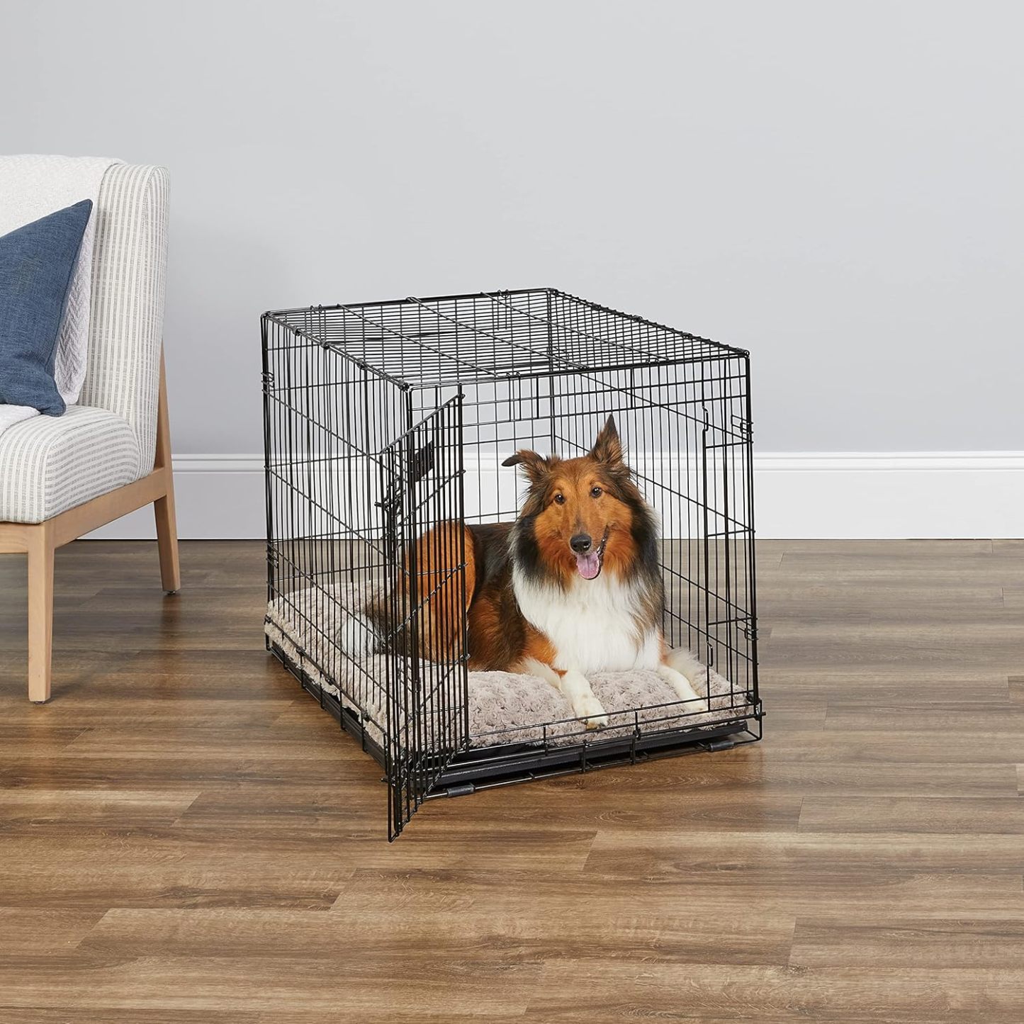 MidWest Homes for Pets - Jaula para perros XL | Jaula para perros MidWest iCrate de metal plegable con doble puerta con panel divisor, protege los pies y bandeja para perros a prueba de fugas | 48 pulgadas de largo x 30 de ancho x 33 pulgadas de alto, raz