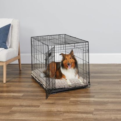 MidWest Homes for Pets - Jaula para perros XL | Jaula para perros MidWest iCrate de metal plegable con doble puerta con panel divisor, protege los pies y bandeja para perros a prueba de fugas | 48 pulgadas de largo x 30 de ancho x 33 pulgadas de alto, raz