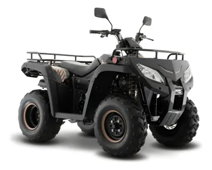 Cuatrimoto Italika Atv250 Negro