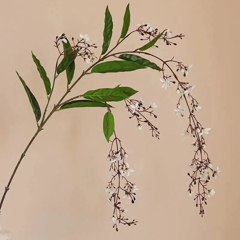Picture background