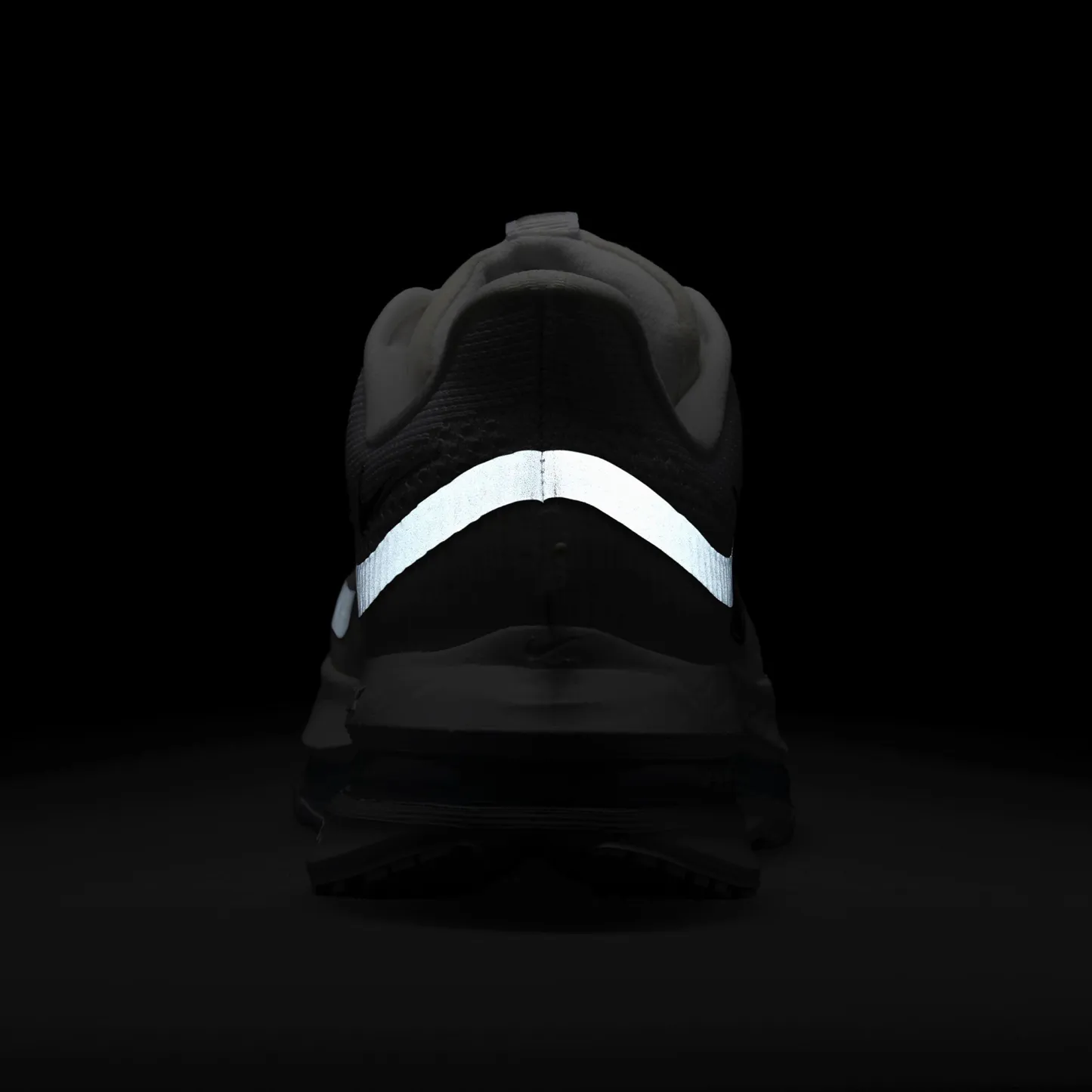 Nike Pegasus Premium - Metallic Silver/White - Image 6